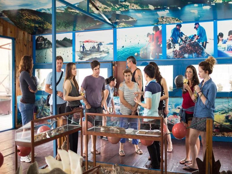 فندق Charm Boutique Cruise ها لونغ المظهر الخارجي الصورة